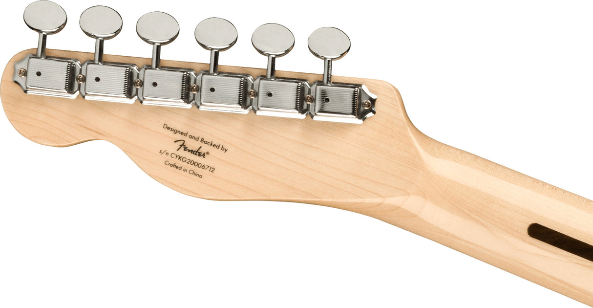 Fender Squier Paranormal Carbronita Telecaster Thinline Electric guitar (Sunburst)