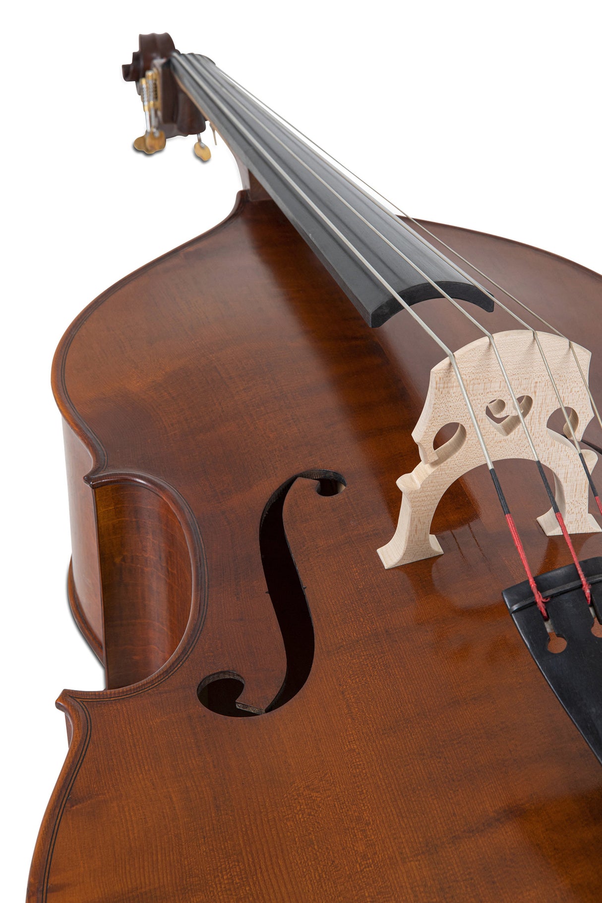 GEWA Double bass Premium Line Semi-solid Model - 4/4 (Set up in the GEWA master workshops)