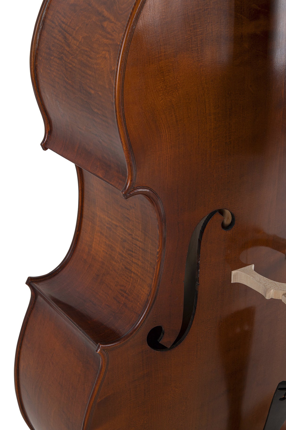 GEWA Double bass Premium Line Semi-solid Model - 4/4 (Set up in the GEWA master workshops)