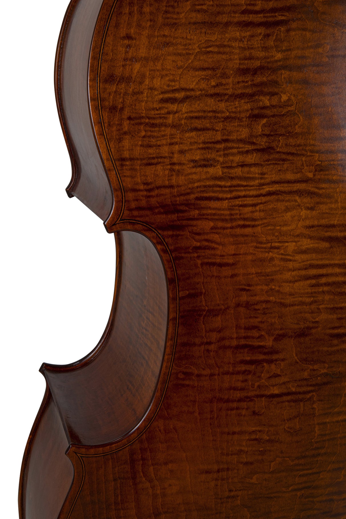 GEWA Double bass Premium Line Semi-solid Model - 4/4 (Set up in the GEWA master workshops)
