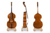 Double Bass