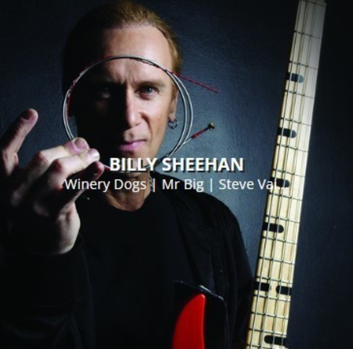 Rotosound E-Bass Strings Swing Bass 66 - Set 4-string Billy Sheehan Custom 43-110 (BS66)