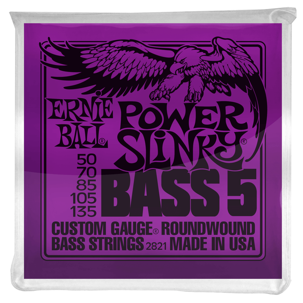 Ernie Ball Slinky Nickel Wound Bass String 5, Bass Guitar