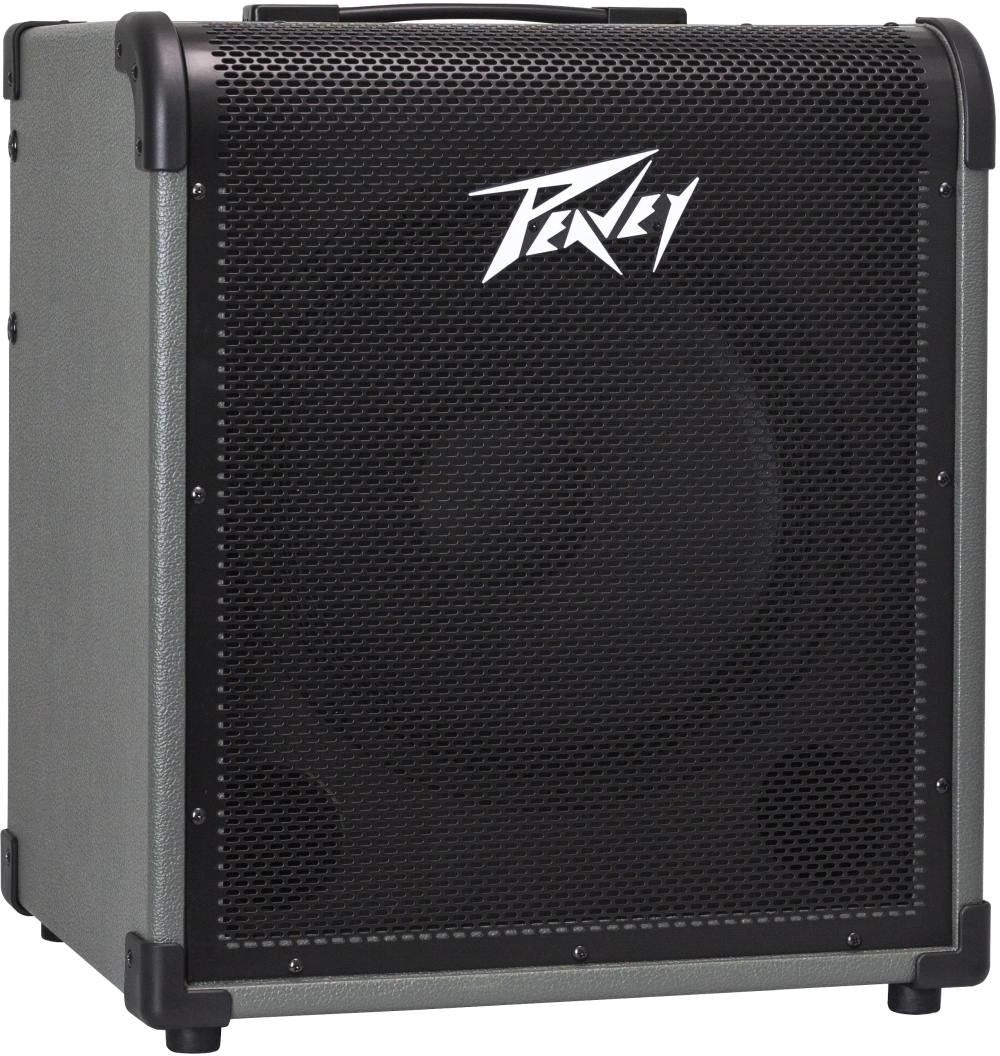 Peavey MAX150, 150 Watt Bass Combo