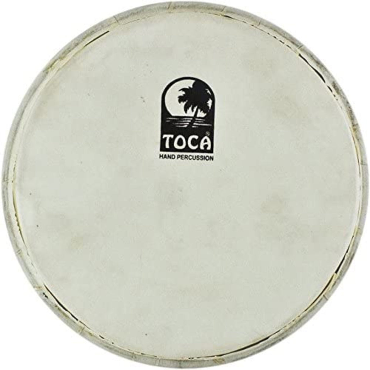 Toca Percussion head Doumbek - 9" goatskin natural (TP-FDMK9)