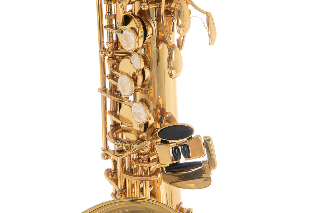 Roy Benson Eb alto saxophone Roy Benson AS-202 - AS-202