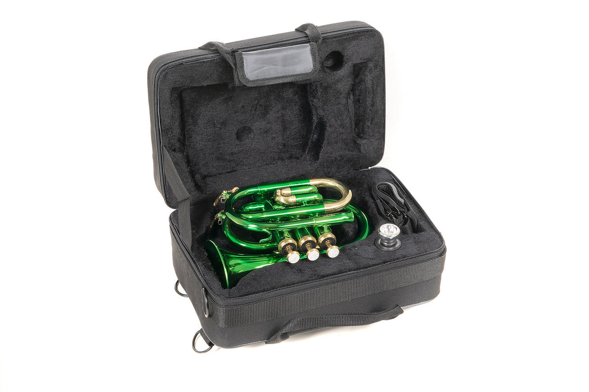 Roy Benson Bb pocket trumpet Roy Benson PT-101E - PT-101E