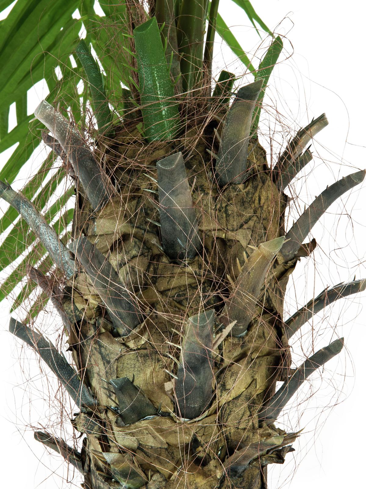 Artificial Phoenix Palm tree Luxor, 300cm