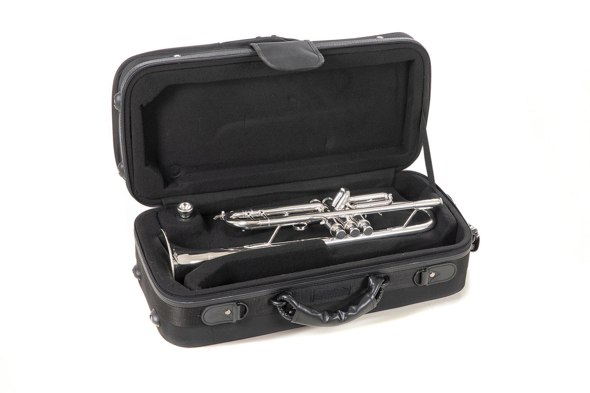 Roy Benson Bb trumpet Roy Benson TR-403 - TR-403S