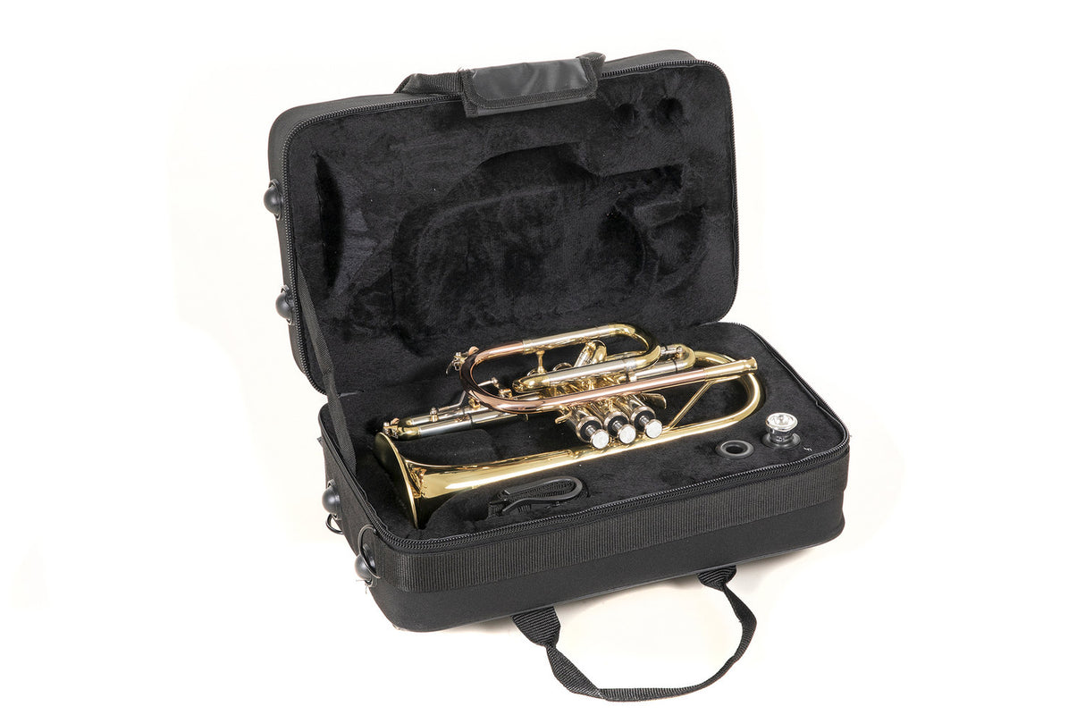 Roy Benson Bb cornet Roy Benson CR-302 - CR-302