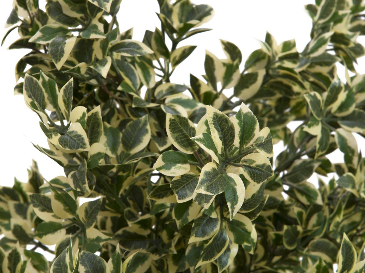 Artificial Woodficus Silverleaf, 120 cm.