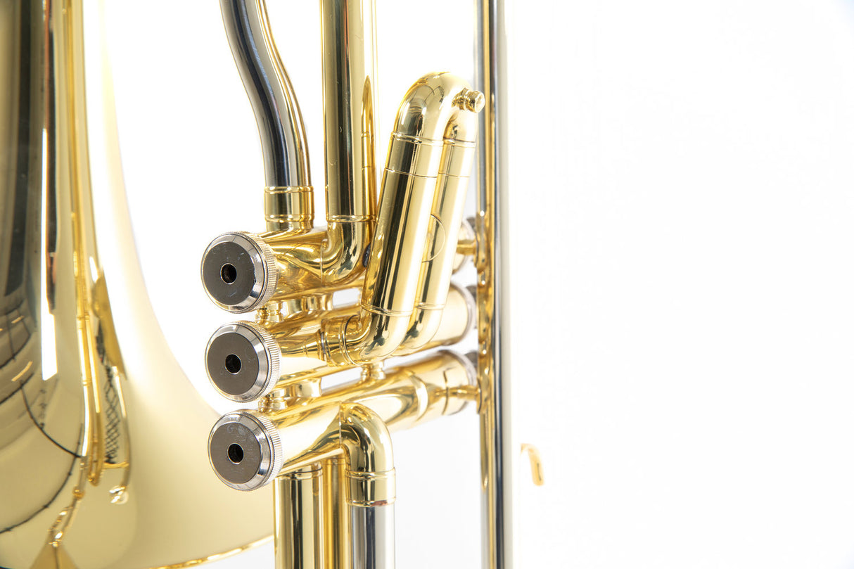 Roy Benson Bb-Valve Trombone Roy Benson VT-227 - VT-227