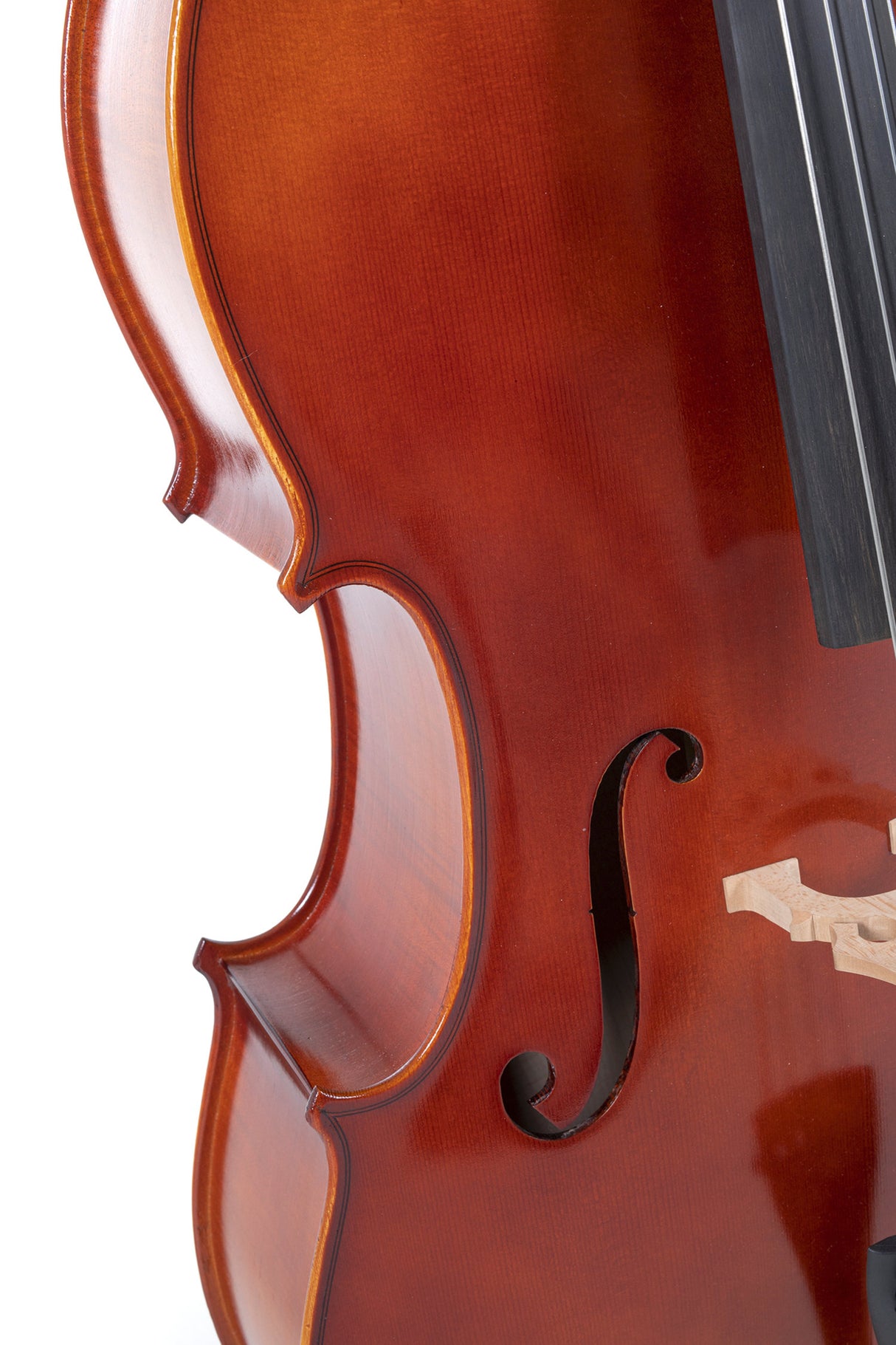 GEWA Cellos Ideale - 1/2 (Ready to play incl. bag, Massaranduba bow, Larsen Aurora strings, transport-secured)