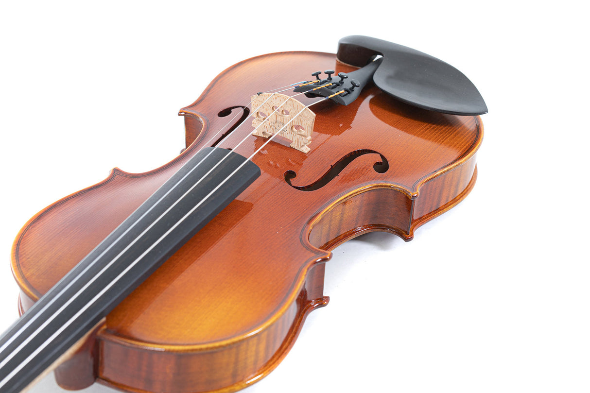 GEWA Violins Maestro 1 - 1/2 (Ready to play incl. shaped case, without bow, with Larsen Aurora strings)