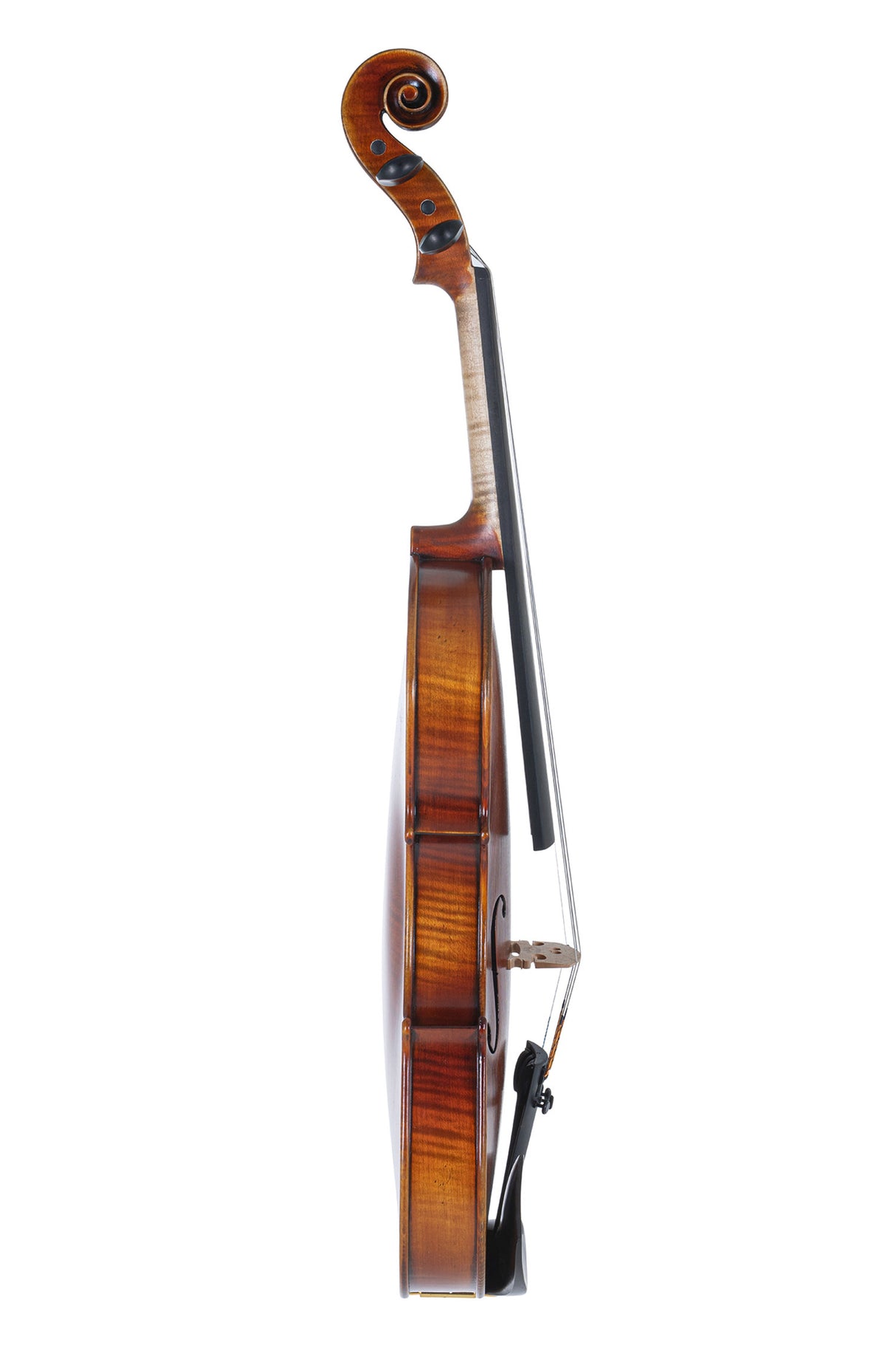 GEWA Violins Maestro 2 - 4/4 (Ready to play incl. GEWA Bio violin case, GEWA Carbon Bow Advanced and Il Cannone strings)