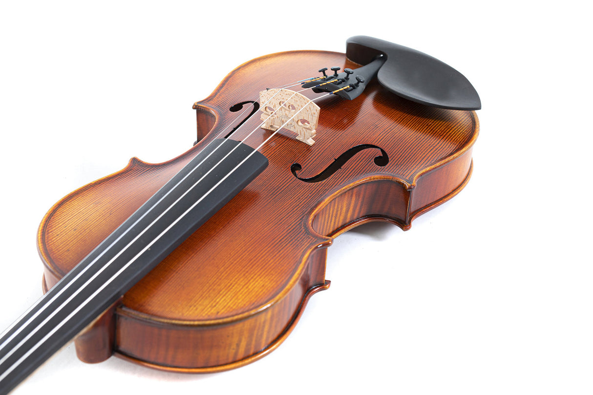 GEWA Violins Maestro 2 - 1/2 (Ready to play incl. shaped case, carbon bow and Larsen Aurora strings)