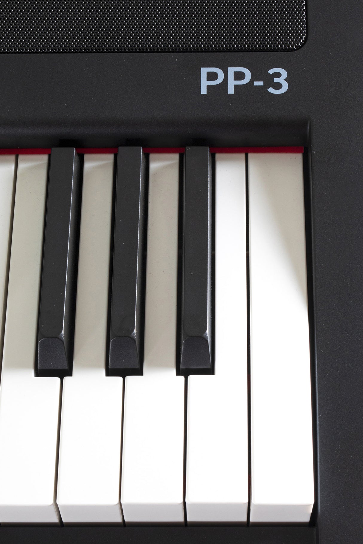 GEWA Portable Piano PP-3 - PP-3 without stand