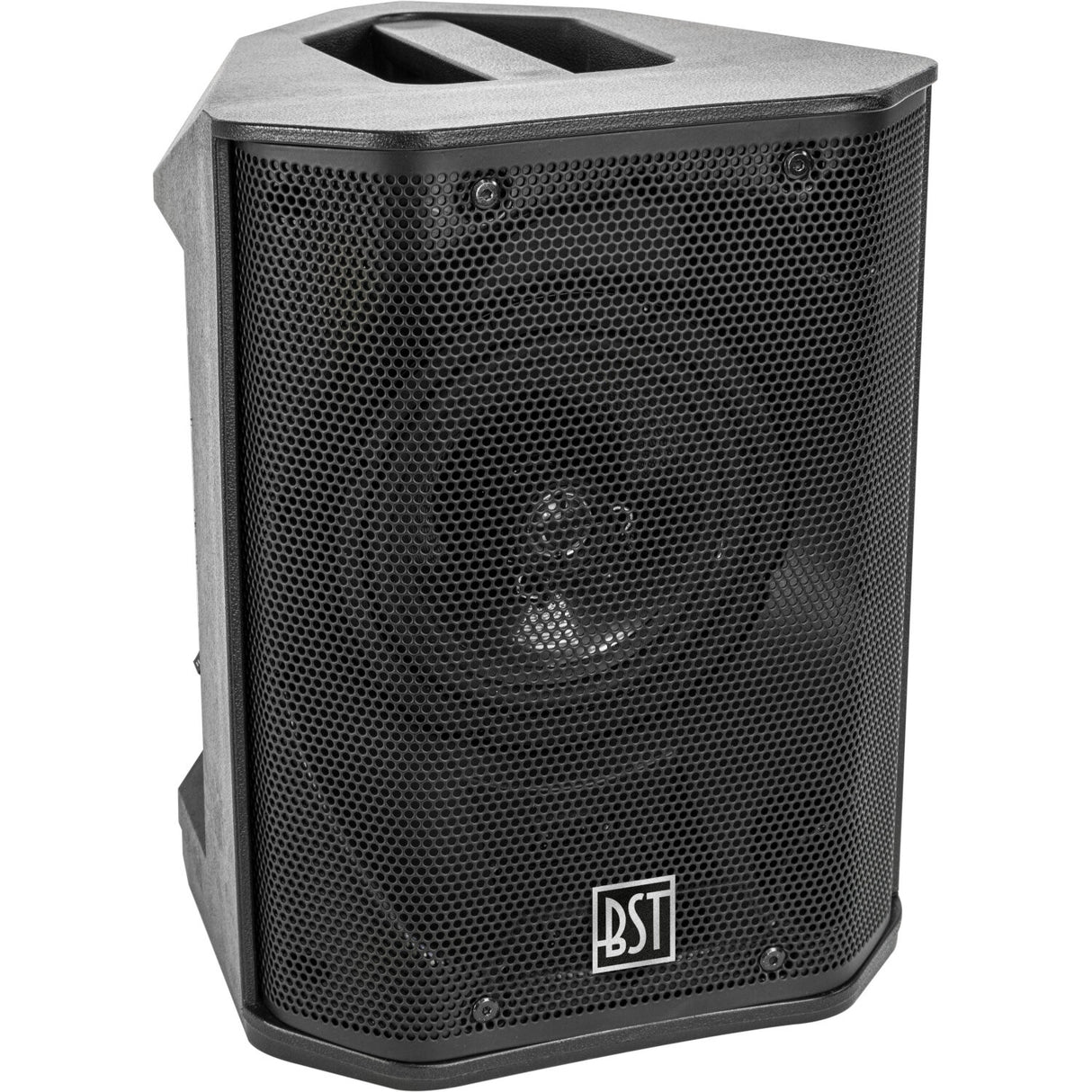 BST 6.5" Battery Speaker with Mixer (60W)