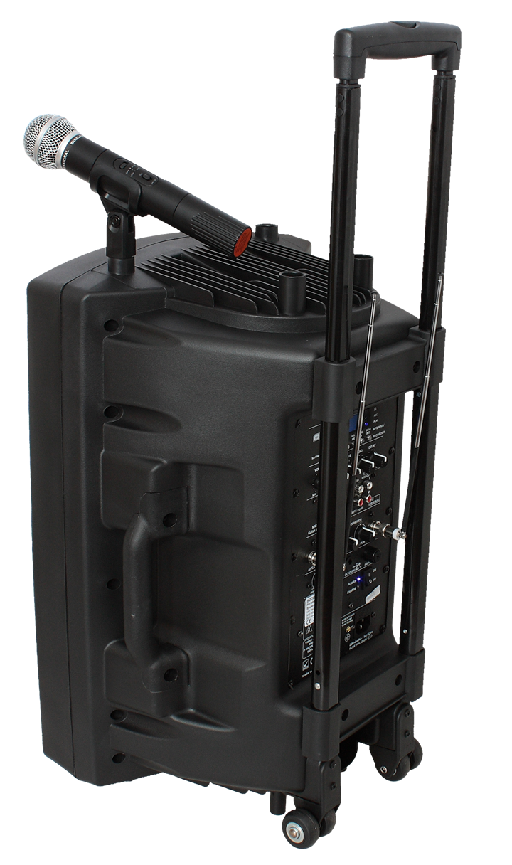 Ibiza Portable Speaker with 15" Bass (Black, 800W)