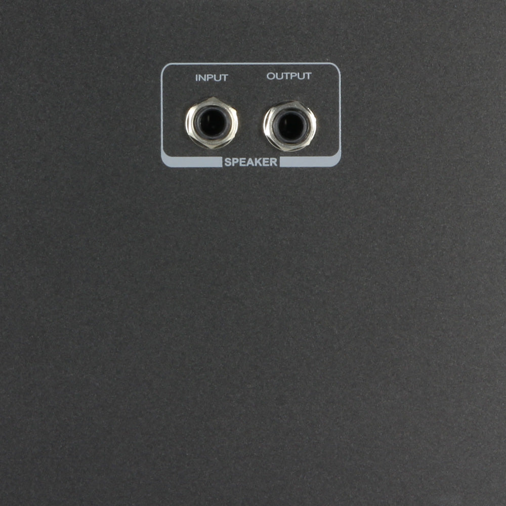 LD Systems Roadman 102 Slave Portable Passive Speaker