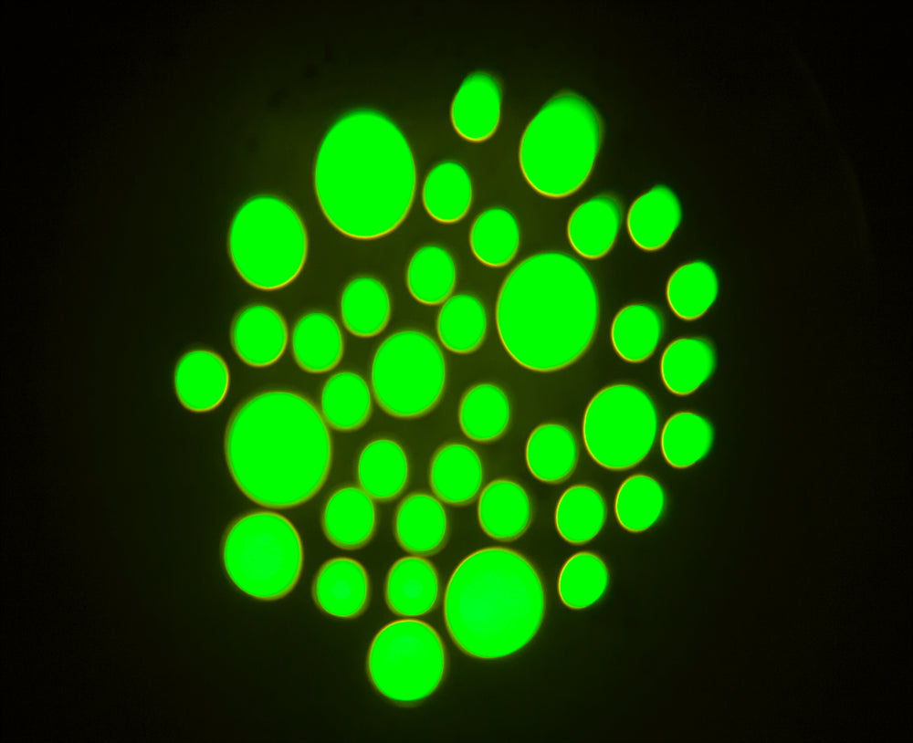 LED Moving Head (10W)