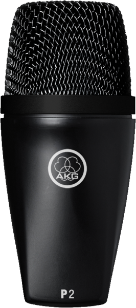 AKG Perception P2 Dynamic Instrument Microphone