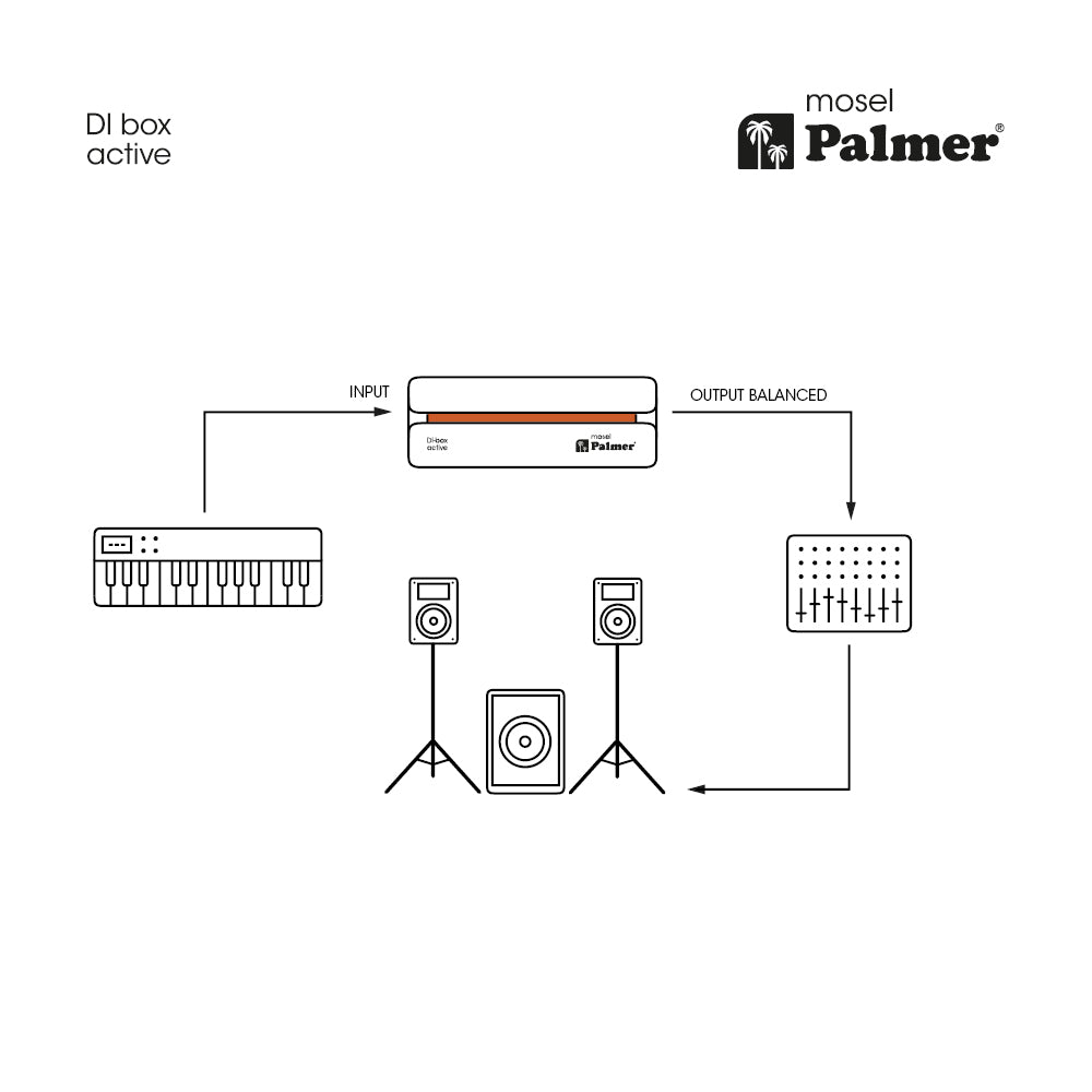 Palmer RIVER model – active DI box