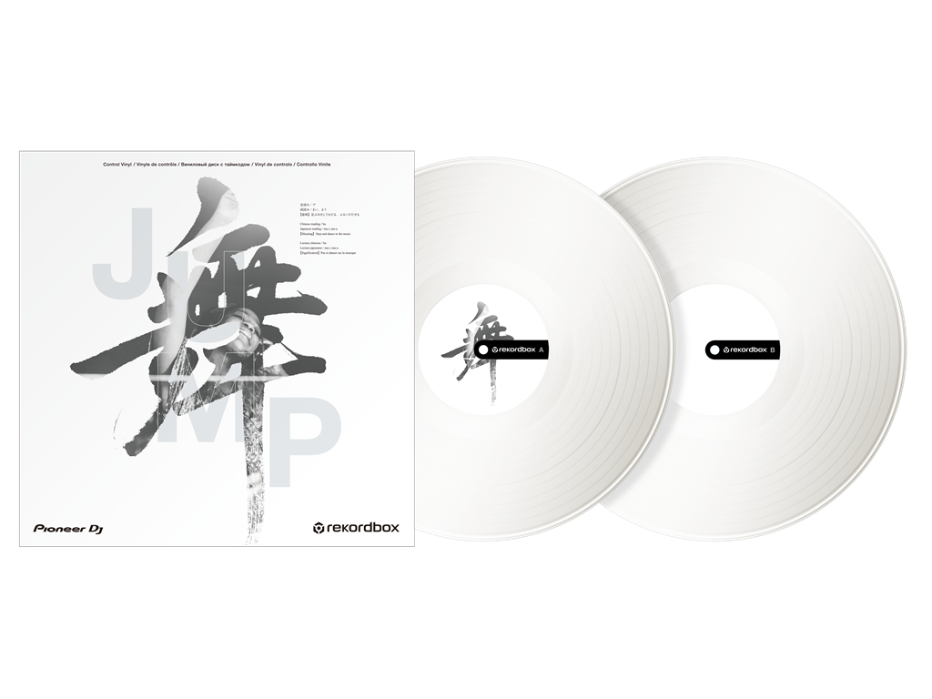 RB-VD2-W Rekordbox control vinyl (set of 2) (white)