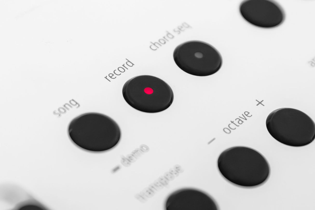 Roland GO:KEYS 5 Keyboard (Graphite)