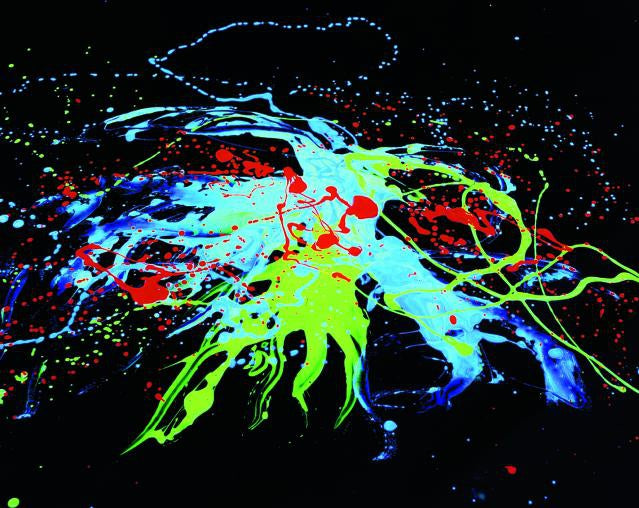UV Paint 750 ml.