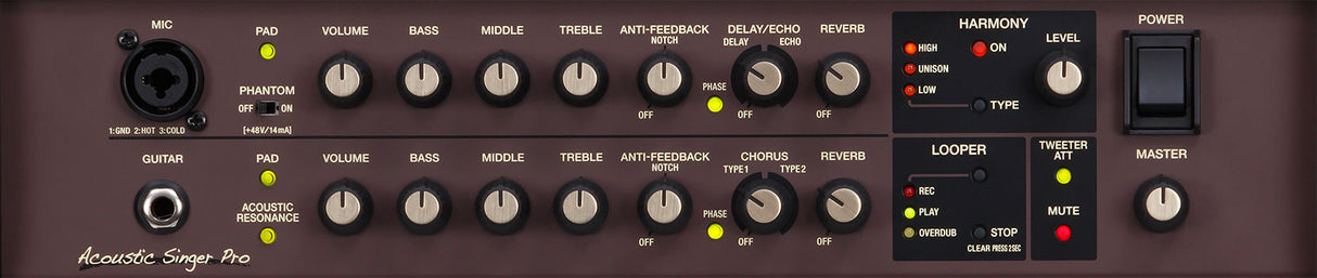 Boss ACS-PRO Guitar Amplifier