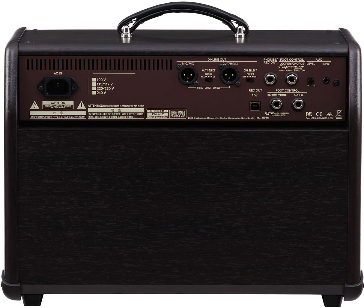 Boss ACS-PRO Guitar Amplifier