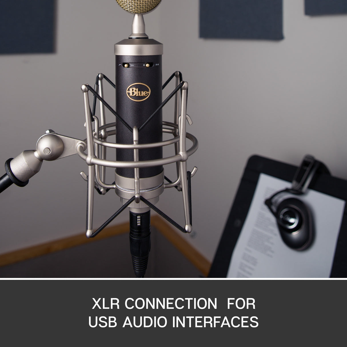 Blue Baby Bottle SL Condenser Microphone + Free Gift