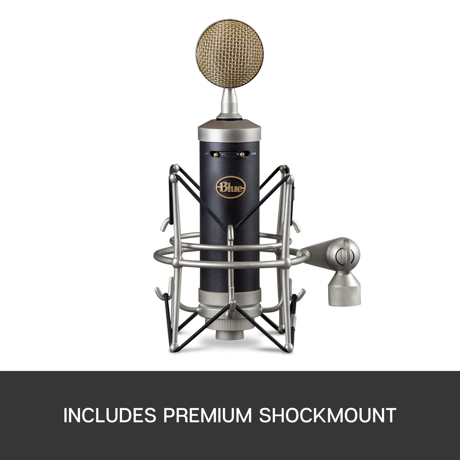 Blue Baby Bottle SL Condenser Microphone
