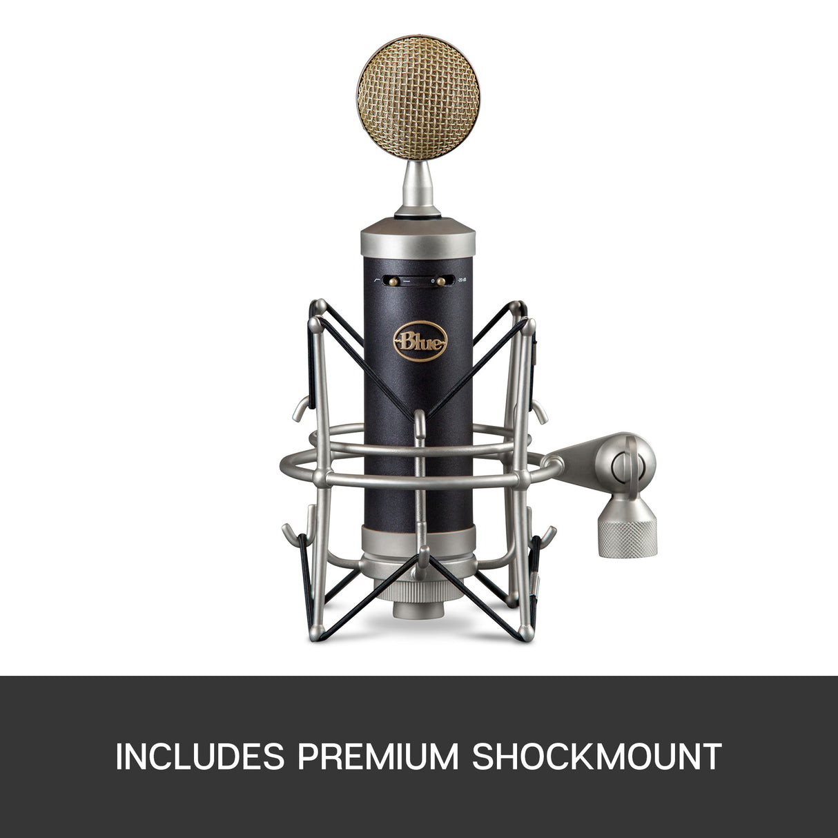 Blue Baby Bottle SL Condenser Microphone + Free Gift