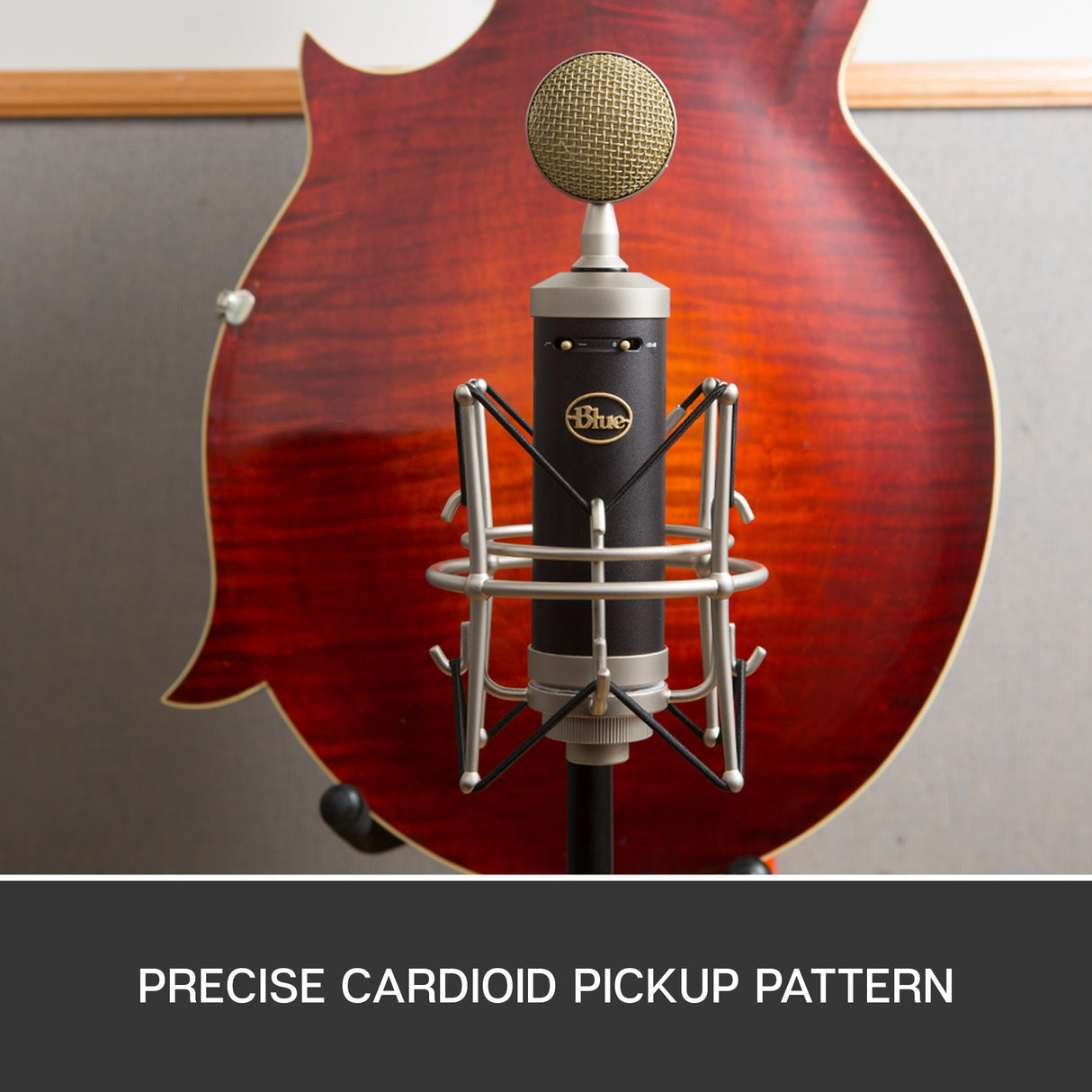 Blue Baby Bottle SL Condenser Microphone + Free Gift