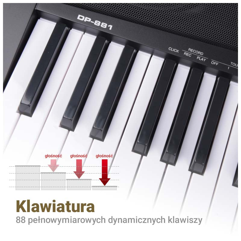 MK DP 881 digital piano learning keys