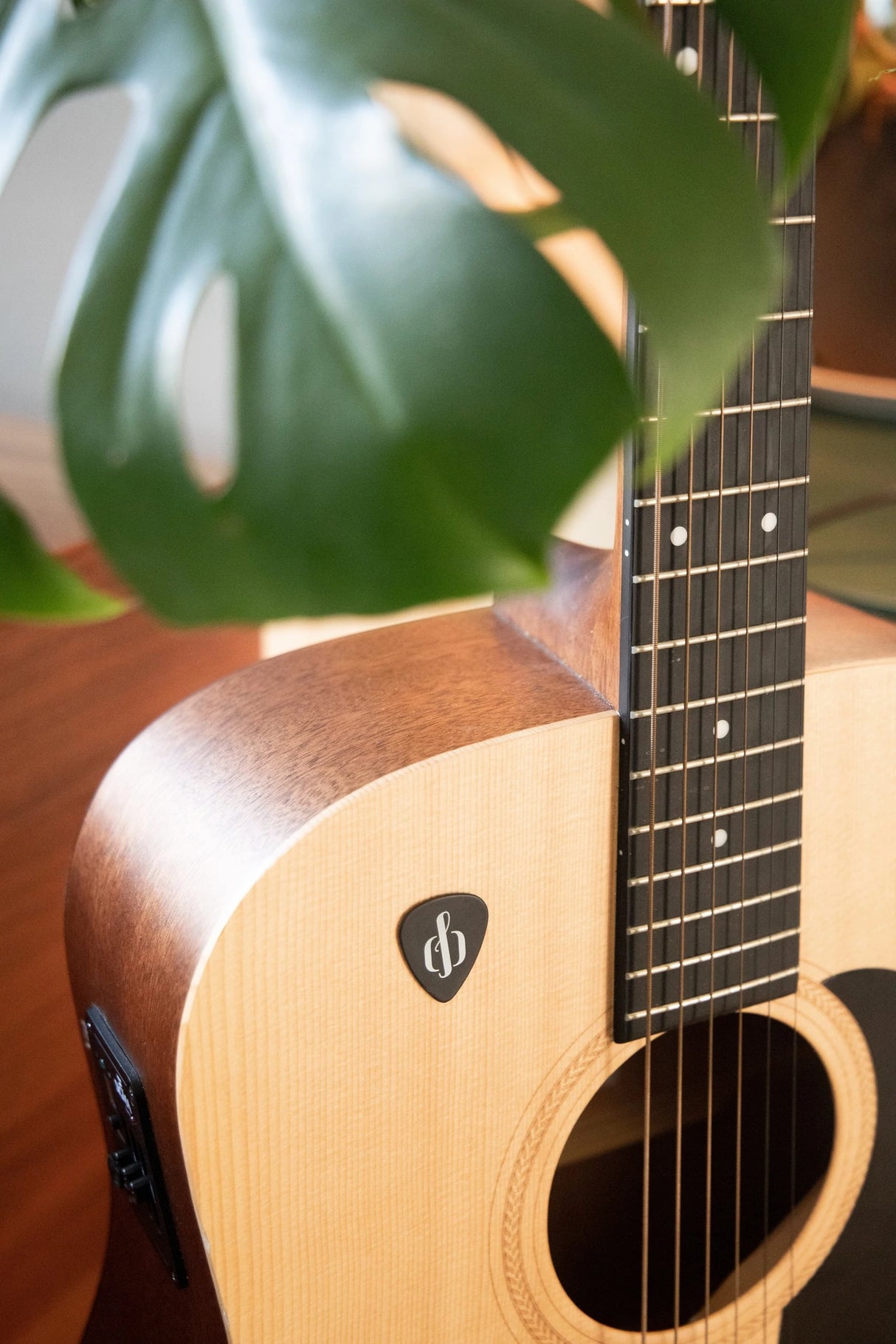 Openhagen StayWithMe Picks (0.88 mm - Black)