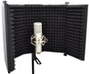 Acoustic Treatment