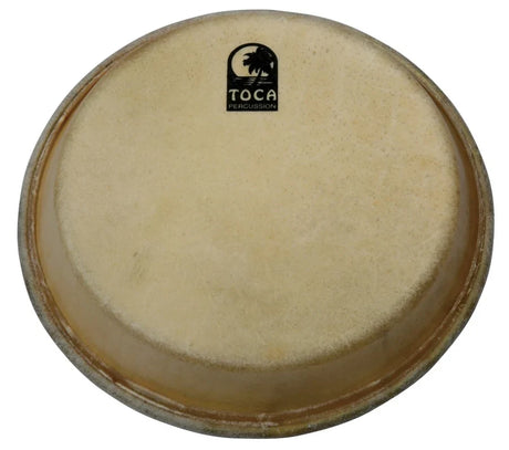 Percussion skind