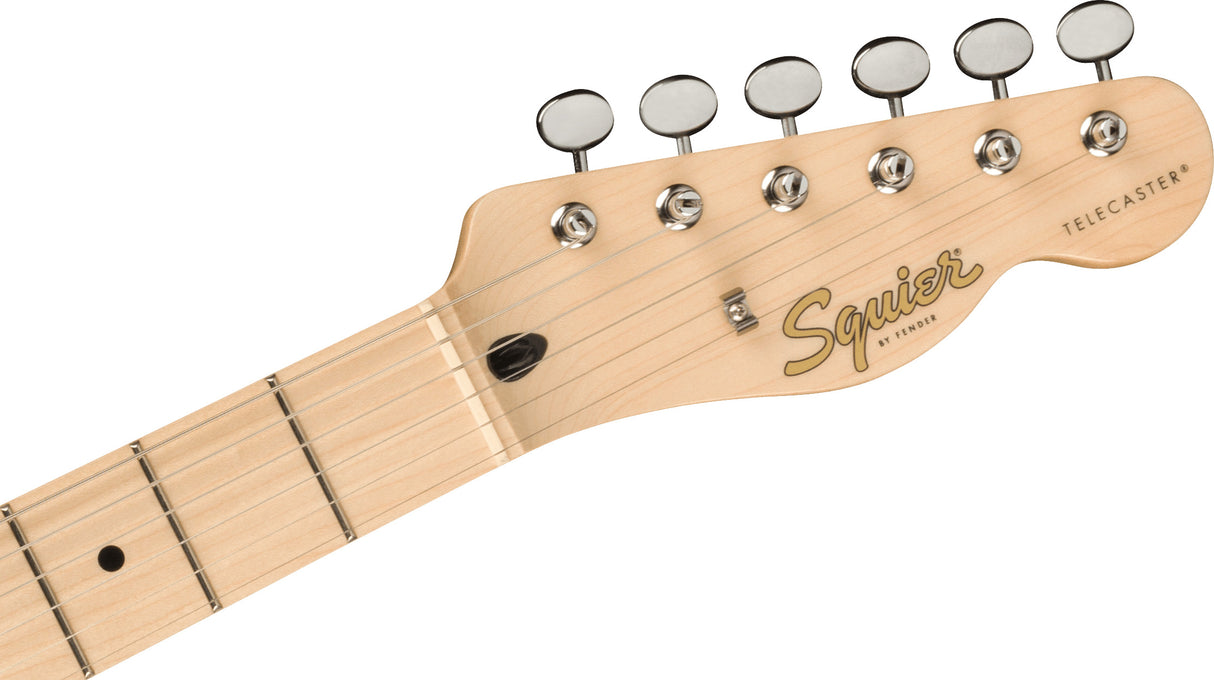 Fender Squier Paranormal Carbronita Telecaster Thinline Electric guitar (Sunburst)