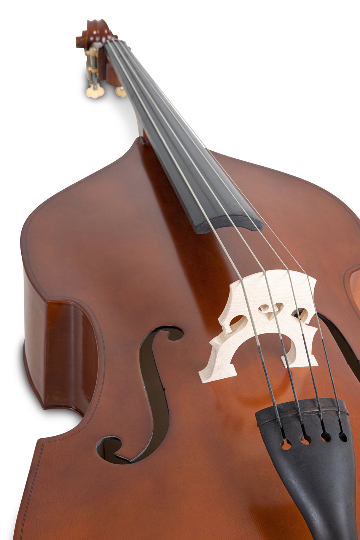 GEWA Double bass Basic Line - Laminated version - 1/4 (Set up made in GEWA Master workshop)