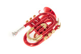 Roy Benson Bb pocket trumpet Roy Benson PT-101R - PT-101R