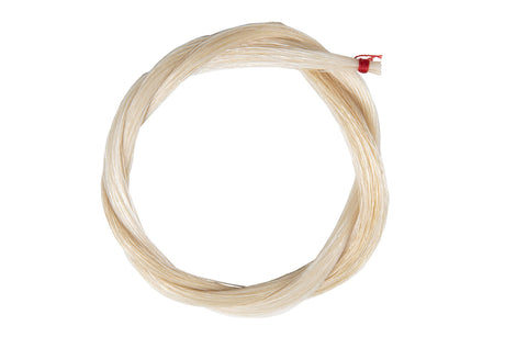 GEWA Cellos bow hair Premium - Single layer 31"