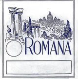 Romana Violins strings - G gut