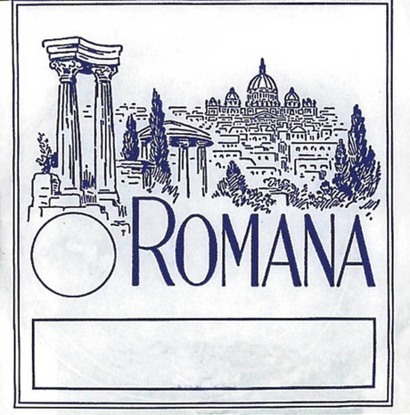 Romana Violins strings - G gut