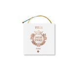 Jargar Violins strings Evoke - G 4/4 medium