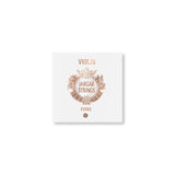 Jargar Violins strings Evoke - G 4/4 medium