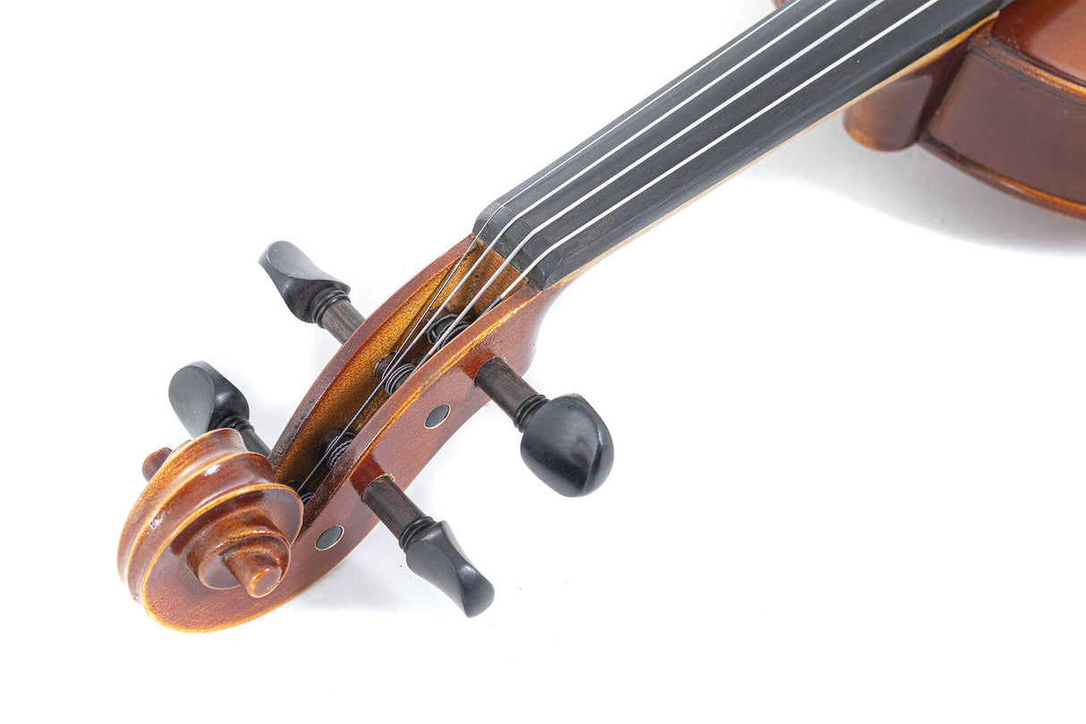 GEWA Violins Blackwood - 4/4 (set up)