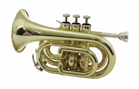 DiMavery TP-300 Bb Pocket Trumpet, Gold 